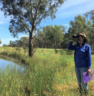 Bird prediction tool takes flight in Eureka prizes