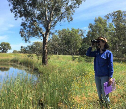 Bird prediction tool takes flight in Eureka prizes