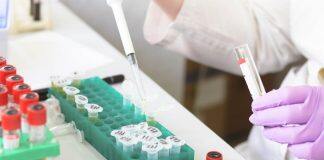 ANU start-up receives funding for anti-inflammatory research