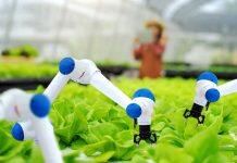 University of Alberta teams up with venture capital firm to advance agricultural innovation in Alberta