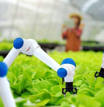 University of Alberta teams up with venture capital firm to advance agricultural innovation in Alberta