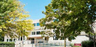 Marvels at Mac: Find a quiet moment and new perspectives at the Museum of Art