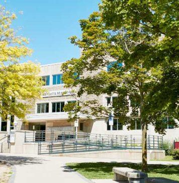 Marvels at Mac: Find a quiet moment and new perspectives at the Museum of Art