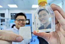 Bullfrog skin to leapfrog from lab bench to clinics for wound healing soon