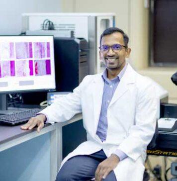 HKU Dentistry study presents “positive stress” to boost tooth tissue regeneration