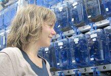 Parental experience helps future generations handle adverse environments