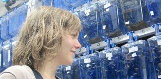 Parental experience helps future generations handle adverse environments