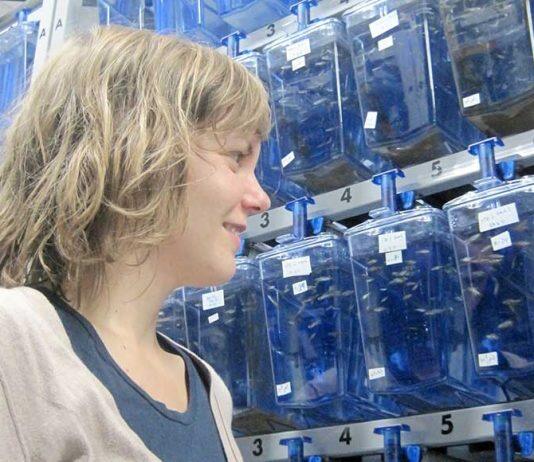 Parental experience helps future generations handle adverse environments