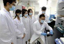 UM team makes important progress in research of new materials for energy storage