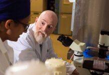 New lab aims to uncover links between microbiome, depression and immune conditions like asthma