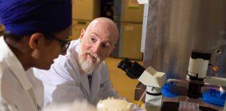 New lab aims to uncover links between microbiome, depression and immune conditions like asthma