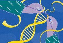 What lobsters can teach us about immortality