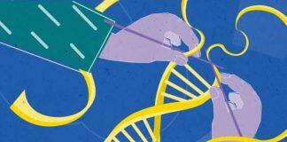 What lobsters can teach us about immortality