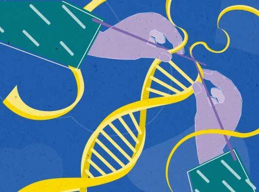 What lobsters can teach us about immortality