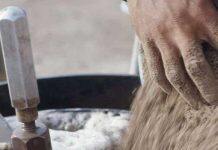 Ancient dung reveals earliest evidence of farmed animals