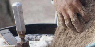 Ancient dung reveals earliest evidence of farmed animals