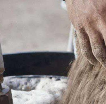Ancient dung reveals earliest evidence of farmed animals