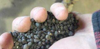 The power of compost – making waste a climate champion