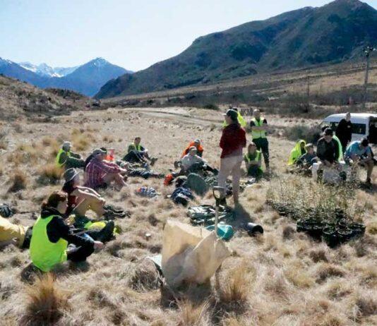 UC launches Cass native-tree planting programme