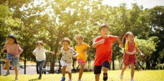 A new understanding of the neurobiology of impulsivity