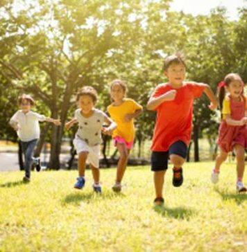 A new understanding of the neurobiology of impulsivity