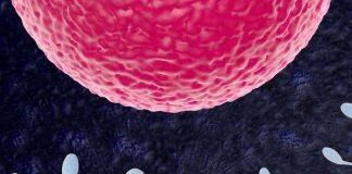 Researchers make new connections between sperm and overall health