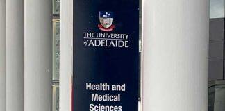 Nation-leading dental trailblazer humbled by royal invitation