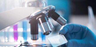 DECRA funding supports Uni of Adelaide research