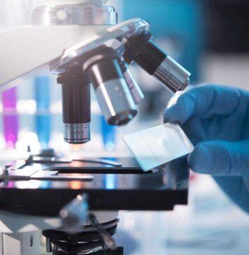 DECRA funding supports Uni of Adelaide research