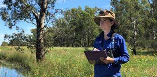 Bird protection tool flies high with Banksia win
