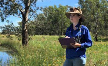 Bird protection tool flies high with Banksia win