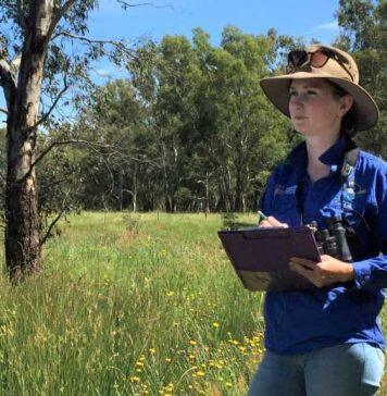 Bird protection tool flies high with Banksia win