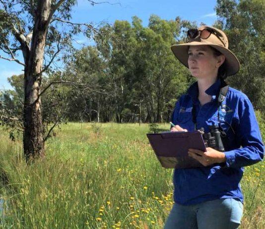 Bird protection tool flies high with Banksia win