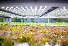 Securing global food supply focus of international agriculture conference