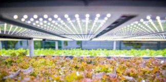 Securing global food supply focus of international agriculture conference