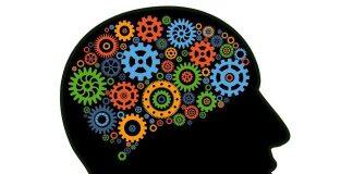 Supporting neurodiverse students