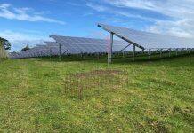Massey exploring the potential for combined solar and pastoral farming