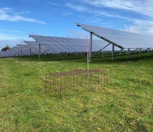 Massey exploring the potential for combined solar and pastoral farming