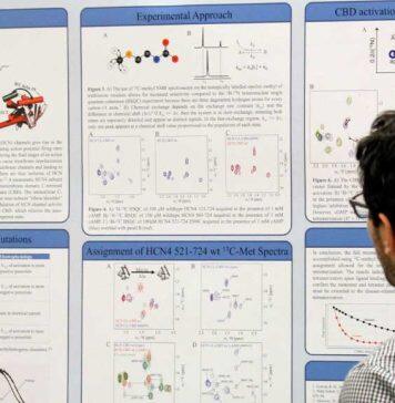Undergrad researchers share their experiences at USRA poster session