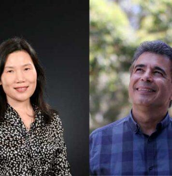 Two UNSW academics recognised as Fellows by the Australian Academy of Technological Sciences and Engineering