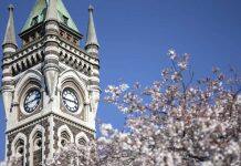 Call to end harmful marketing after study reveals children’s exposure