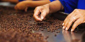 Transmigration study finds benefits for second generation