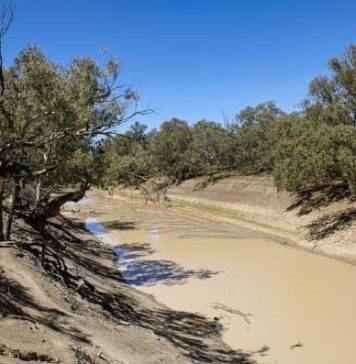 Water extraction is key cause of the Darling River drying: study