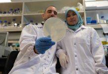 Stress response in cells key to slow down ageing: Study