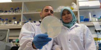 Stress response in cells key to slow down ageing: Study