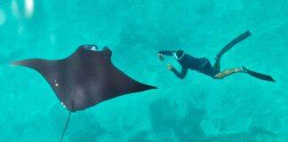 Rare piece of good news from the ocean