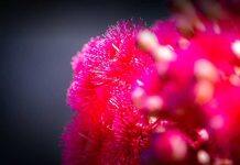 Social justice at the heart of new one-year Master of Public Health