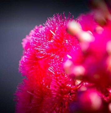 Social justice at the heart of new one-year Master of Public Health