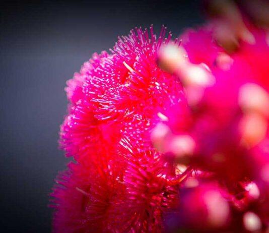 Social justice at the heart of new one-year Master of Public Health