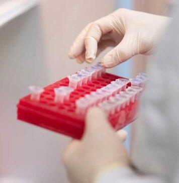 Federal funds set to boost University of Alberta’s ability to handle highly infectious pathogens